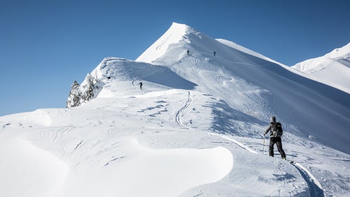 Japan Japow Skiing Sweetgrass Niseko