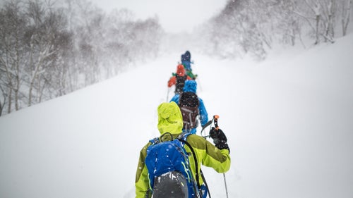 Japan Japow Skiing Sweetgrass Niseko