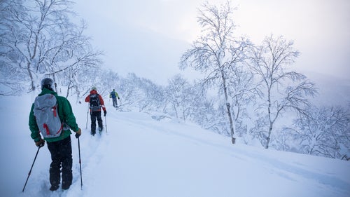 Japan Japow Skiing Sweetgrass Niseko
