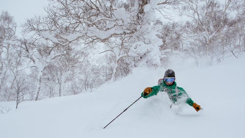 Japan Japow Skiing Sweetgrass Niseko