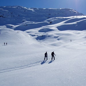 Cross-country skiers in western Norway.
