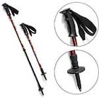 Summit Trekking Poles