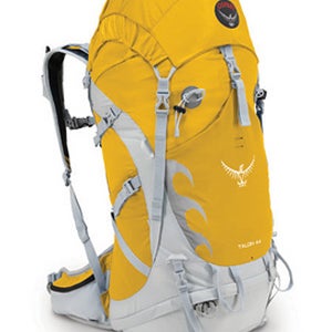 The Talon 44