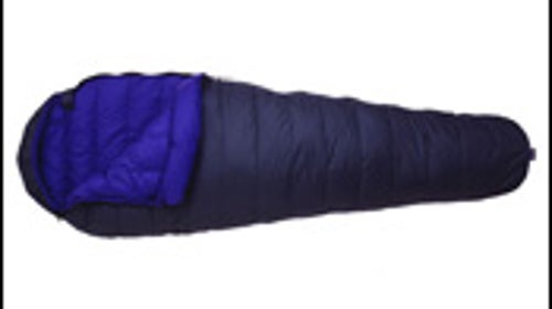 Feathered Friends Swallow