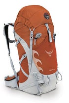 Talon 44