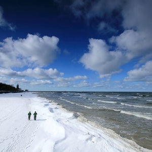 running ice snow winter sea