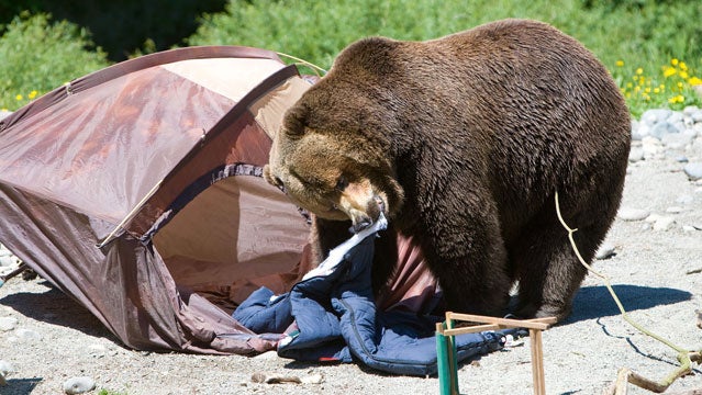 How can I repair a tear in a sleeping bag?