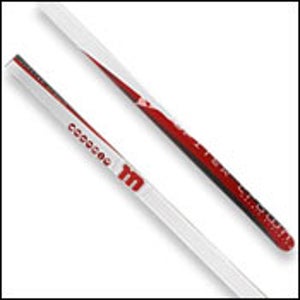 Fischer Jupiter skis