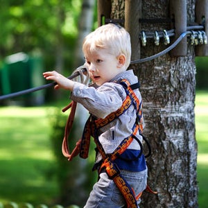 zipline backyard ziplining outside gear guy
