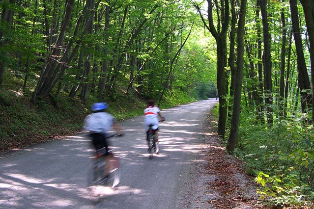 mountain biking road biking woods biking cycling