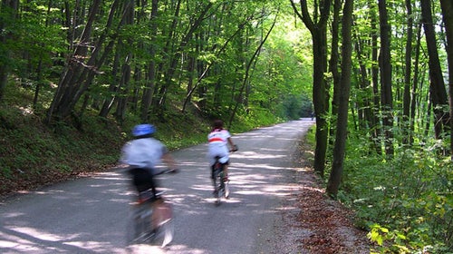 mountain biking road biking woods biking cycling