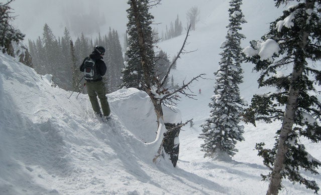 Checking out a drop in Jackson Hole's Cirque Bowl