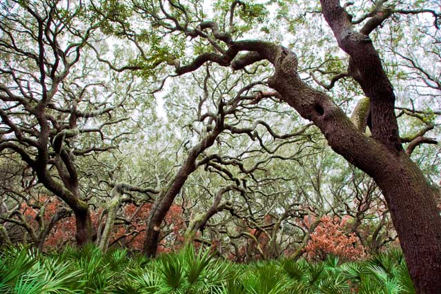 What are the best photo hikes in the Southeast?