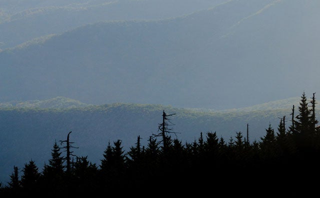 View from Mt. Mitchell