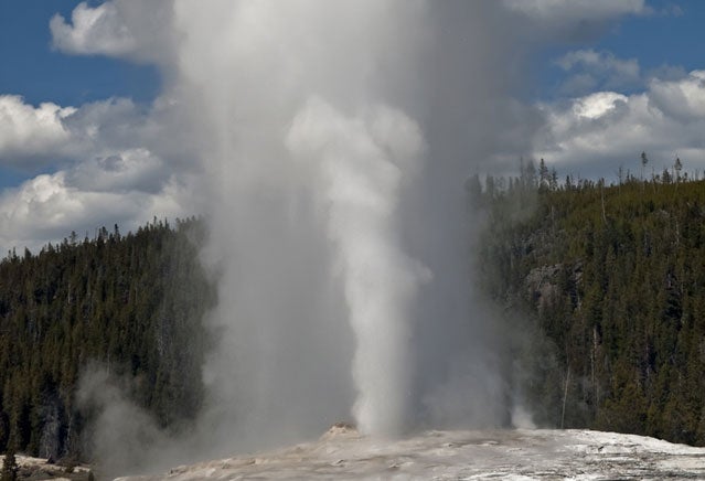 Old Faithful