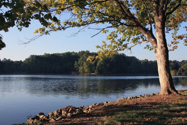 Tennessee River