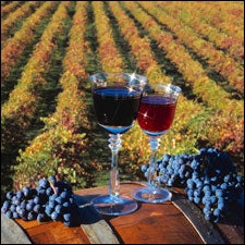 LA DOLCE VITA: Life is good on the NoCal wine route.