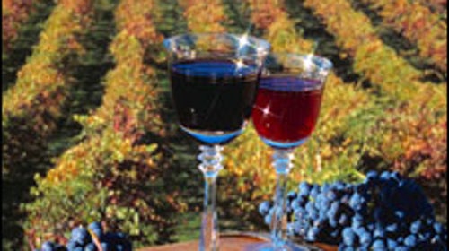 LA DOLCE VITA: Life is good on the NoCal wine route.