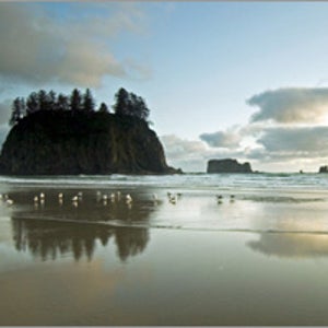 Olympic National Park's Second Beach