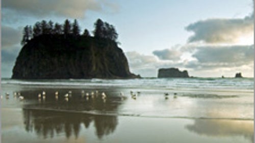 Olympic National Park's Second Beach