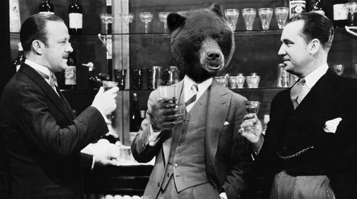 Bears do have a taste for brews.