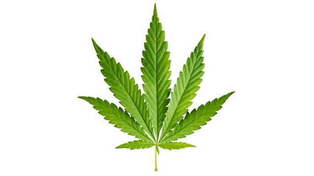 Pot leaf.