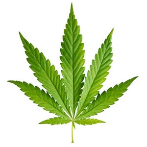 Pot leaf.