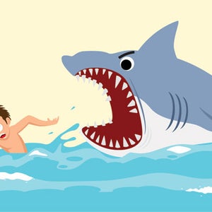 shark attack myth cartoon scary