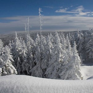 Snowshoe Mountain.