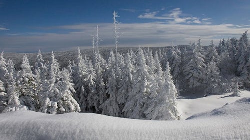 Snowshoe Mountain.
