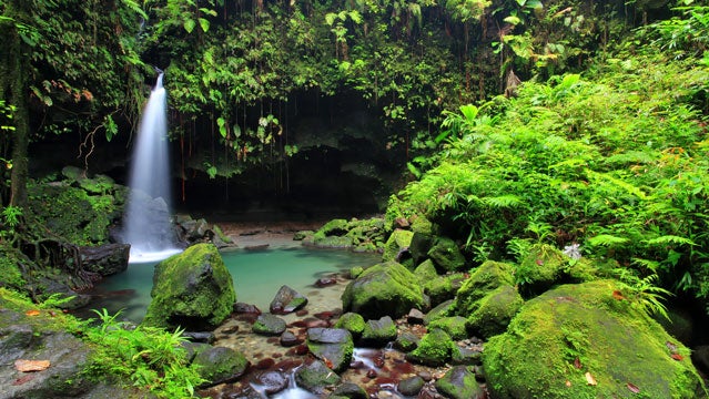 dominica caribbean travel winter getaways ecotourism