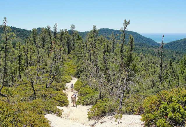 Big Basin Redwoods State Park