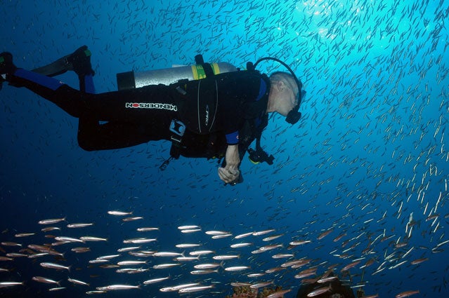 A scuba diver in Flower Garden Banks National Marine Sanctuary