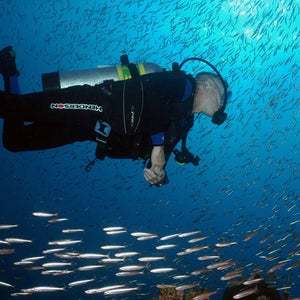 A scuba diver in Flower Garden Banks National Marine Sanctuary