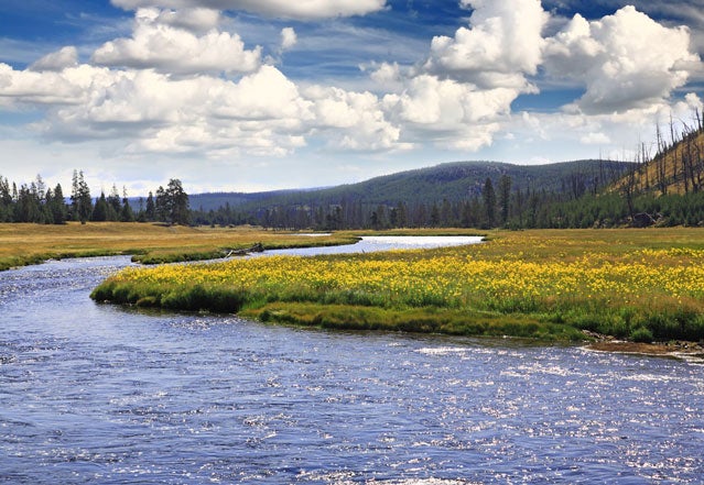 Yellowstone River