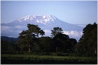 Mount Kilimanjaro