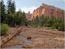 Under-the-Rim Trail