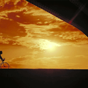 Pedaling through the States