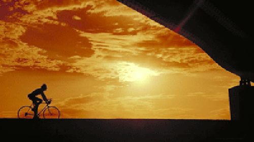 Pedaling through the States