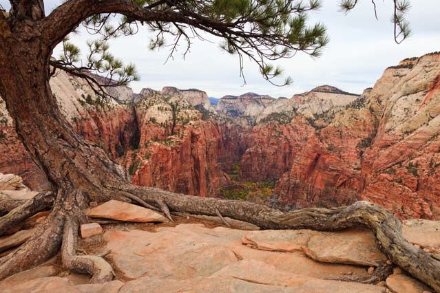 Angel's Landing