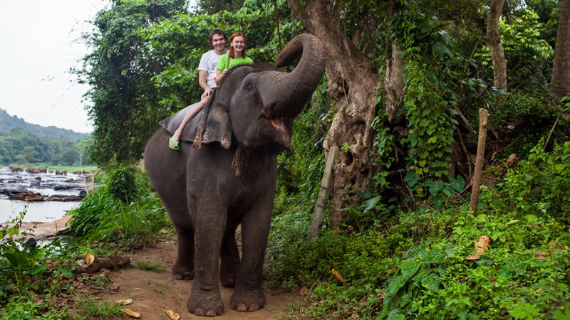 Where Can I Go Elephant Trekking?