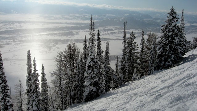Jacksonhole wyoming skiing mountain snow resort spring break