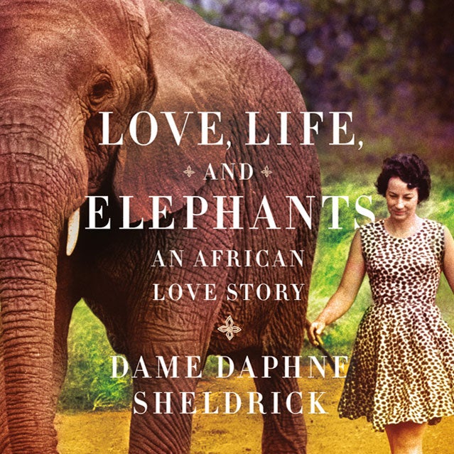 Daphne Sheldrick and an elephan