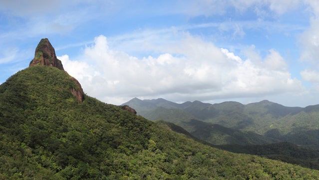 honduras rainforest travel central america vacation