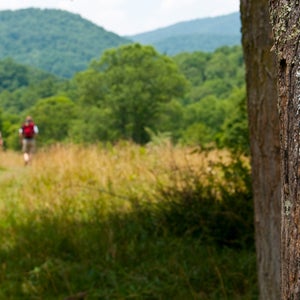 A white blaze marks the Appalachian Trail.