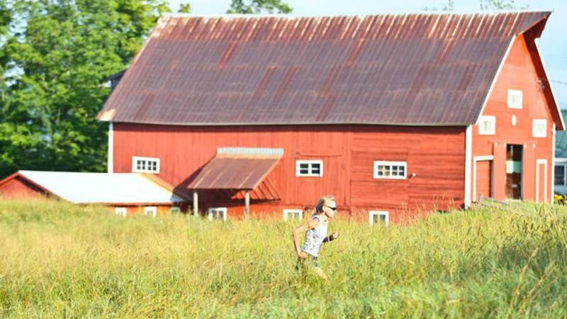 Craftsbury Running Camp.