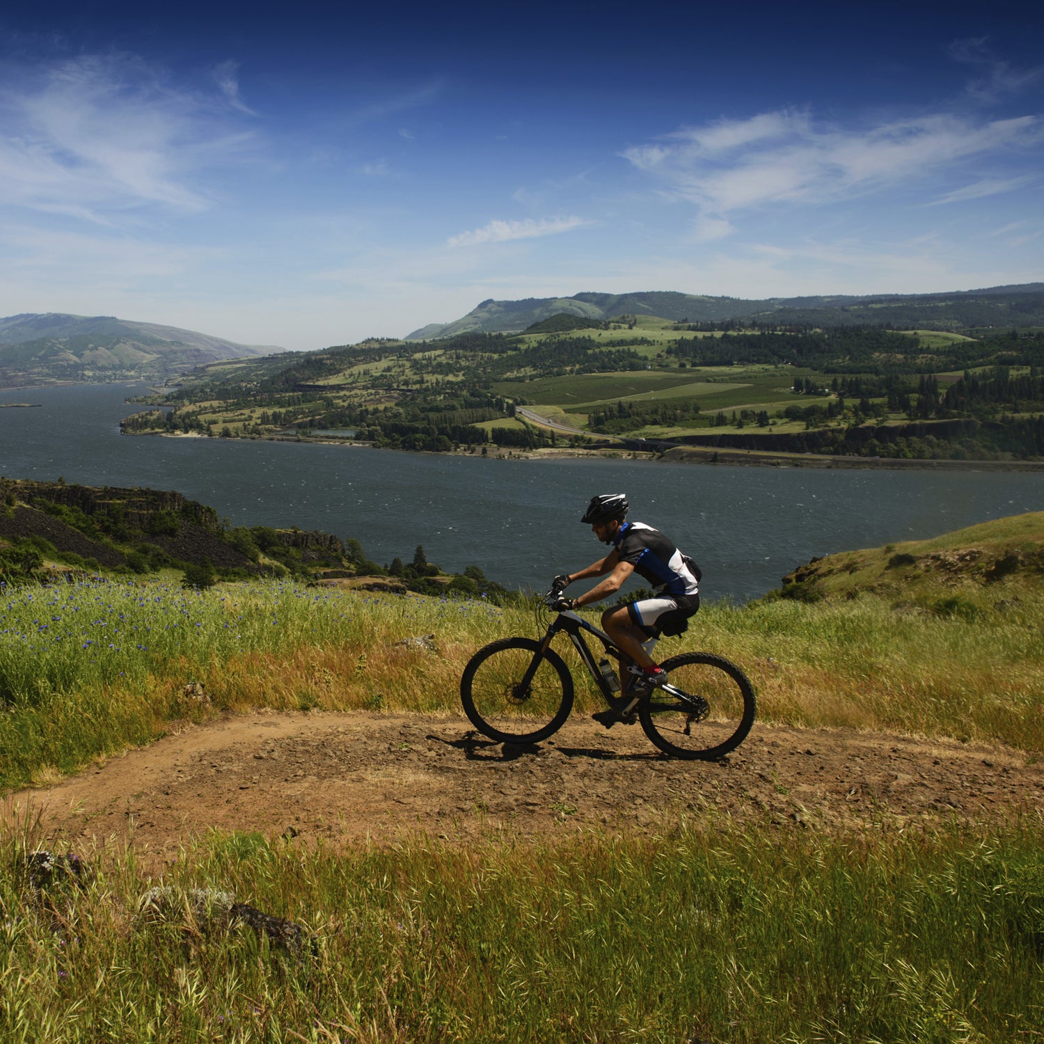 Mountain biking cheap for weight loss