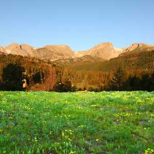 Run free in Rocky Mountain National Park.