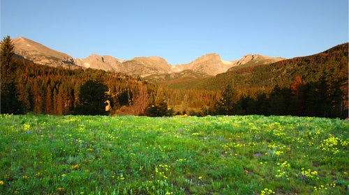 Run free in Rocky Mountain National Park.