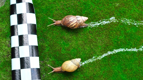 You might not set a PR, but you'll be able to cross the finish line if you set the right goals.